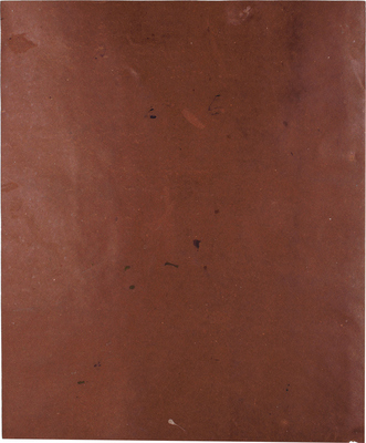 Шендеров Александр Семёнович. Слон